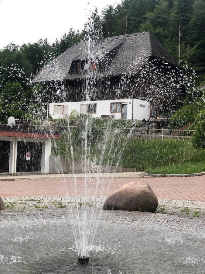 Апартаменты Haus Am Scheibenfelsen Санкт-Блазиен Экстерьер фото