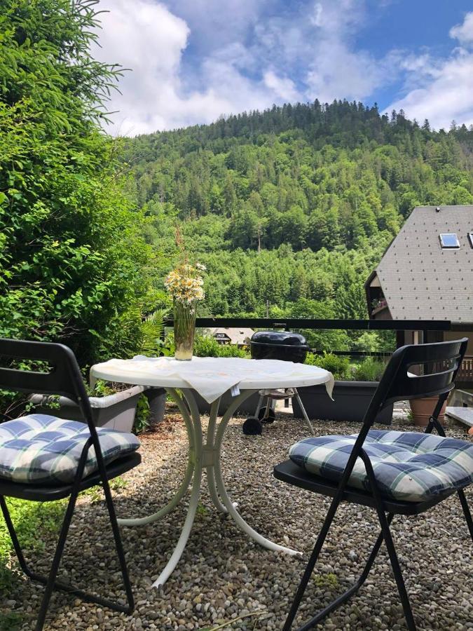 Апартаменты Haus Am Scheibenfelsen Санкт-Блазиен Экстерьер фото
