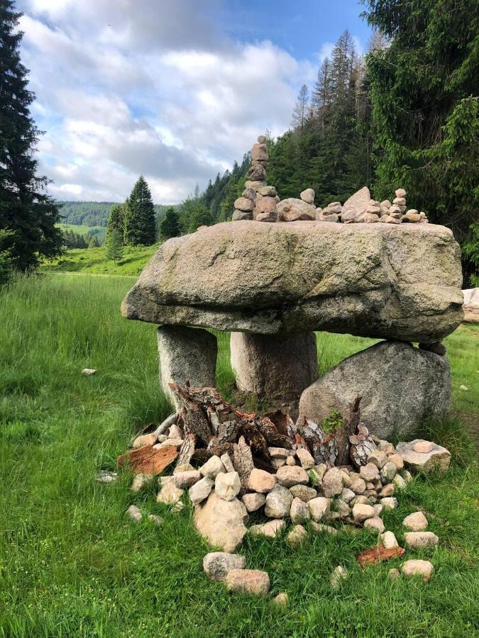 Апартаменты Haus Am Scheibenfelsen Санкт-Блазиен Экстерьер фото