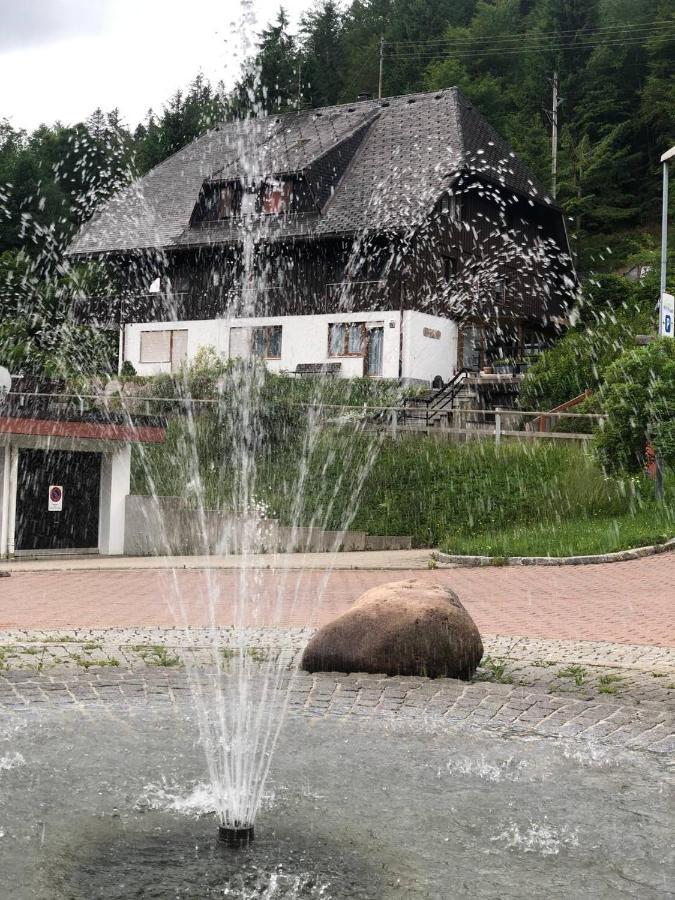 Апартаменты Haus Am Scheibenfelsen Санкт-Блазиен Экстерьер фото