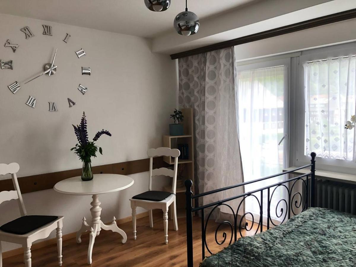 Апартаменты Haus Am Scheibenfelsen Санкт-Блазиен Экстерьер фото