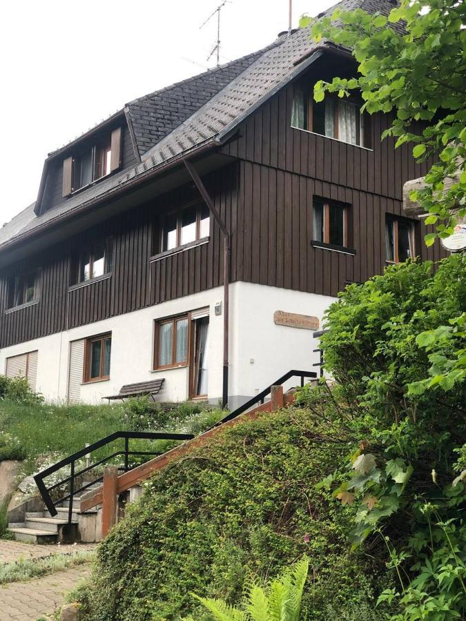 Апартаменты Haus Am Scheibenfelsen Санкт-Блазиен Экстерьер фото