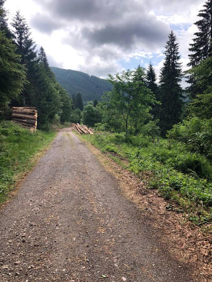 Апартаменты Haus Am Scheibenfelsen Санкт-Блазиен Экстерьер фото