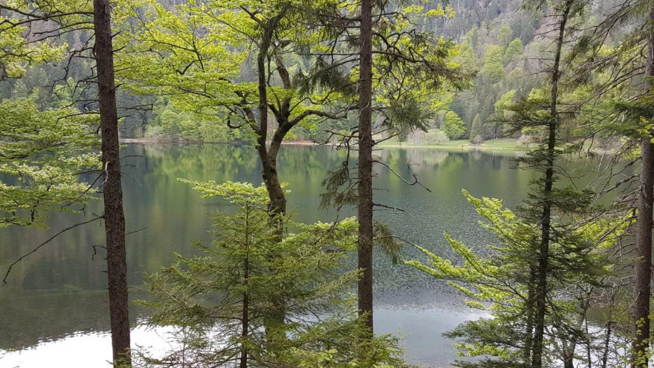 Апартаменты Haus Am Scheibenfelsen Санкт-Блазиен Экстерьер фото