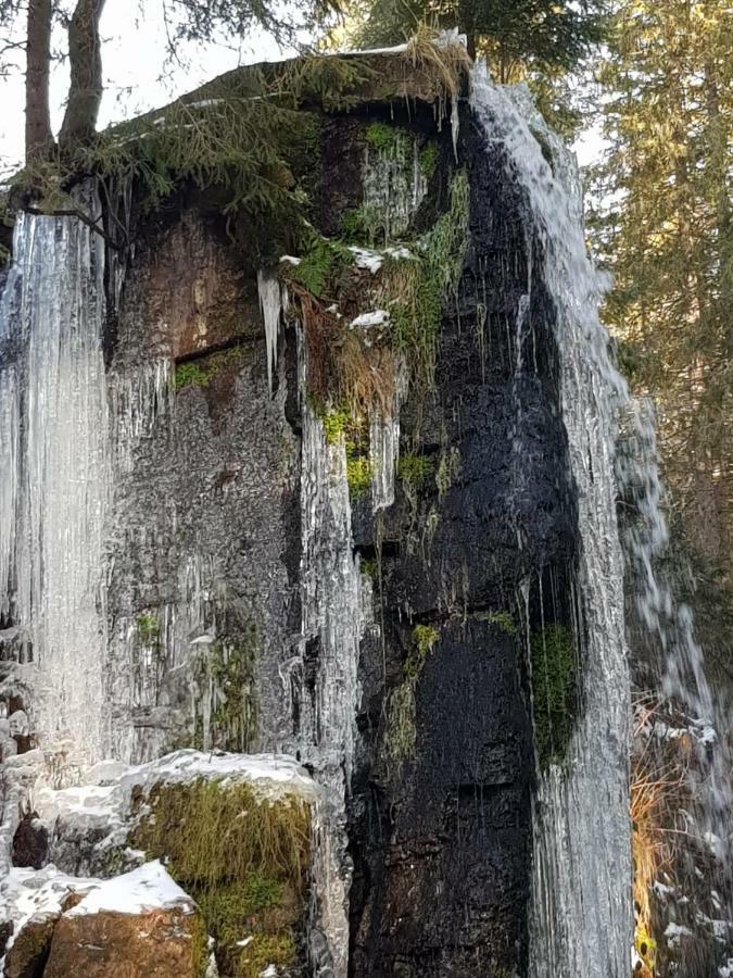 Апартаменты Haus Am Scheibenfelsen Санкт-Блазиен Экстерьер фото